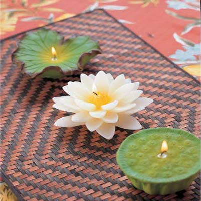 ����������H������T