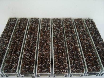 神奇除塵地墊清潔美化兩不誤