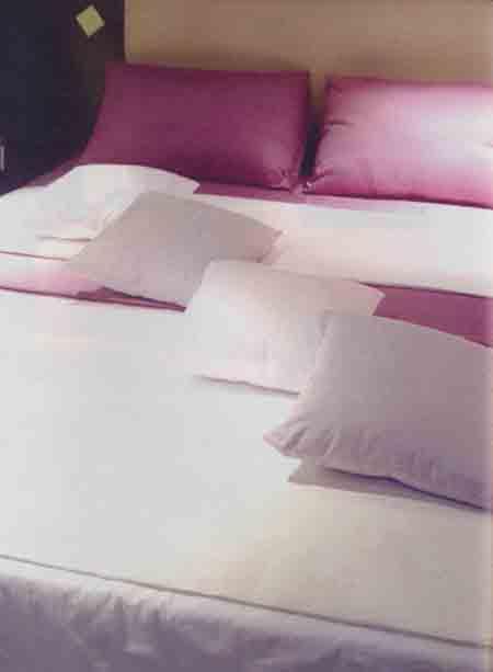 ��������ߏ����A�LՄ