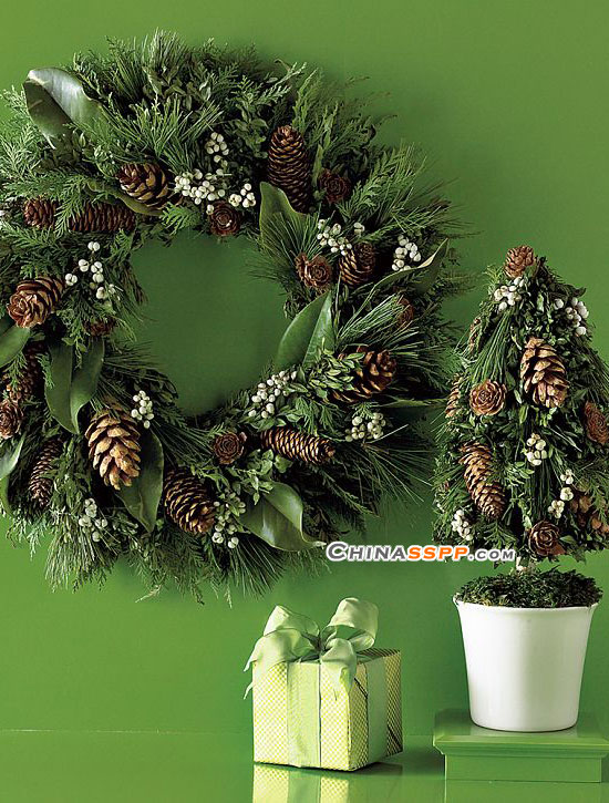 ʥ�Q���������@Щ�b�Ʒ