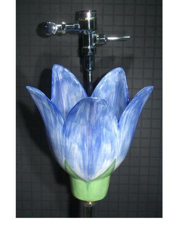 Ư�����ص�WCϴ�ֳ�