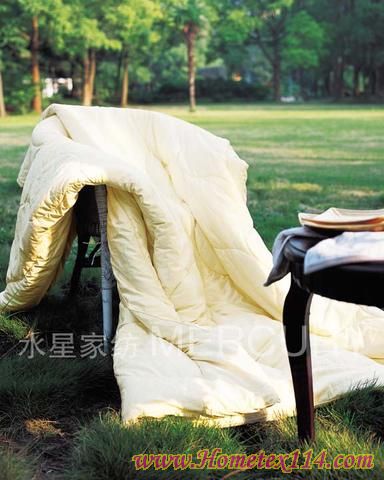 ˮ�ǾGɫ�h��֮���w�S�ı�