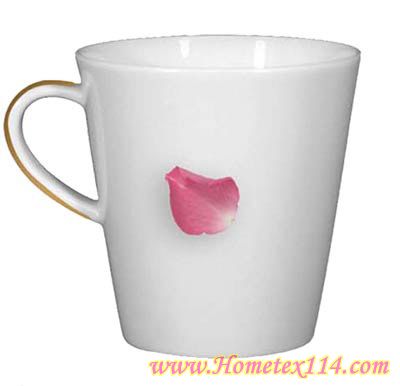 �����һ��t�����Ĳ;�������