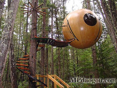 ������˼�������w�Ƅӷ���