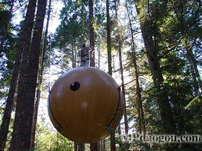 ������˼��(chu��ng)�����w�Ƅӷ���