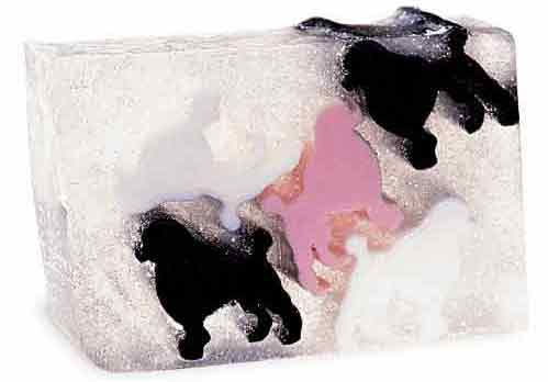 �ɐ�(��i)�����⣺���������������