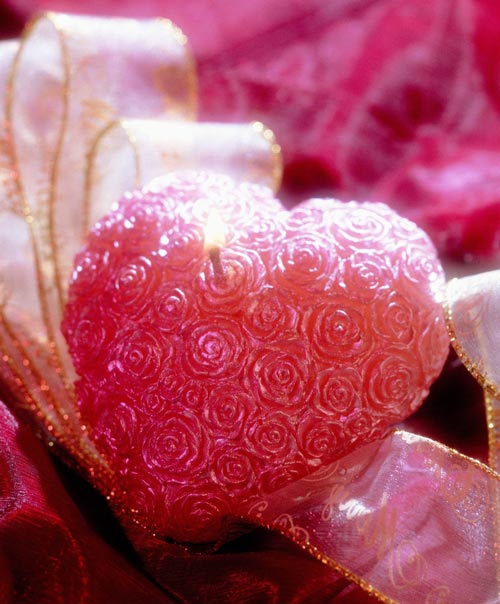 �T���cȼ�������˹���һ��