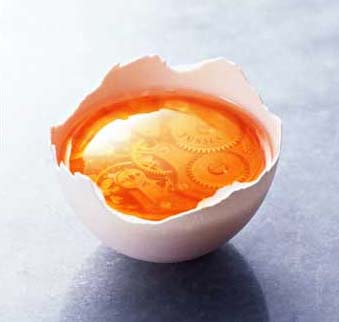 �õ�����(chu��ng)�����(j��ng)��Ҿ��Ʒ