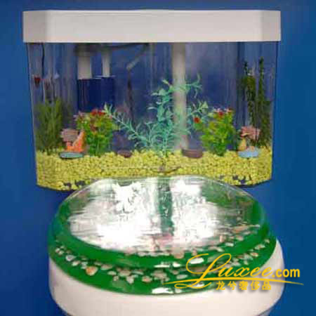 ���؄����׃����ԡ��