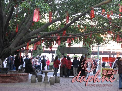 ϲ�Y(ji��)�B���������