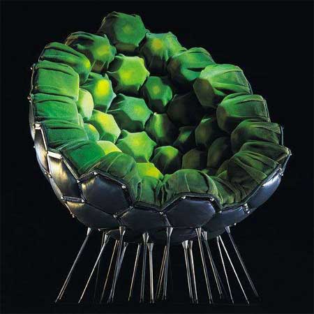 �����~���������������