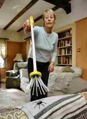 Ԏ����ʮ����Ҿ�