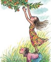 ʩ�����������΄�(chu��ng)�I(y��)�ɹ���