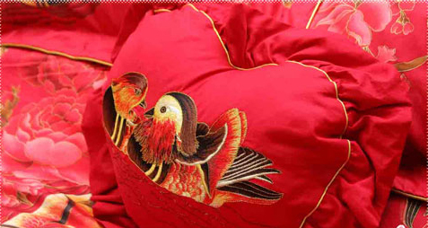 �����ȼҼ���Ş�I��Ⱥ��