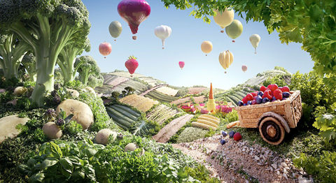 蔬菜食品拍出驚艷藝術杰作