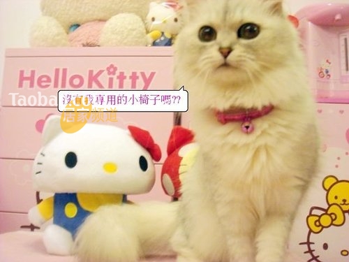 ���ɐ�HelloKittyĥ��������