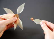 �������ͻ�����Ψ��