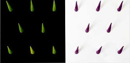 �벻���đ��˵�ɽ�¼�