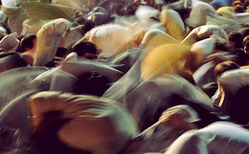 舊金山情人節上演枕頭大戰