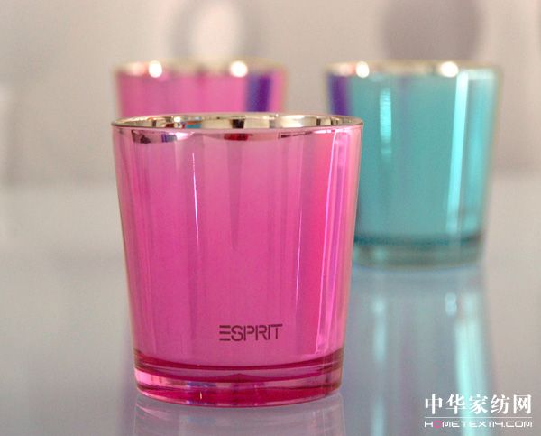 ESPRIThome2010��Ʒ�Ų�����