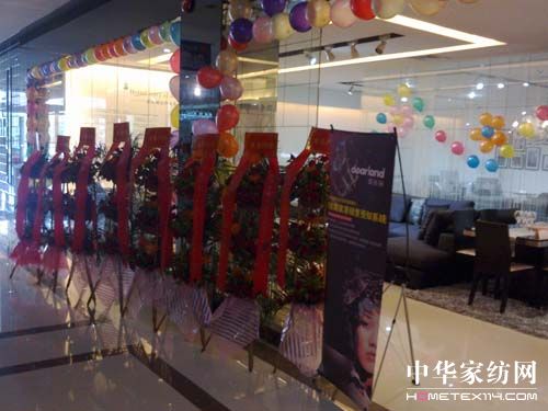 廣東清遠蝶依斕專賣店開業