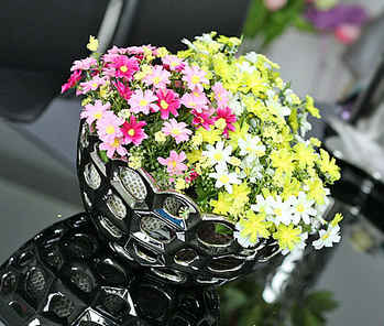 ���߽��ĵĄ���䳲��ʳ�P