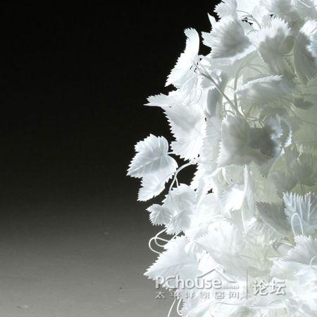 ���׵Ę��~�Σ��Є��⵫�ܹª�