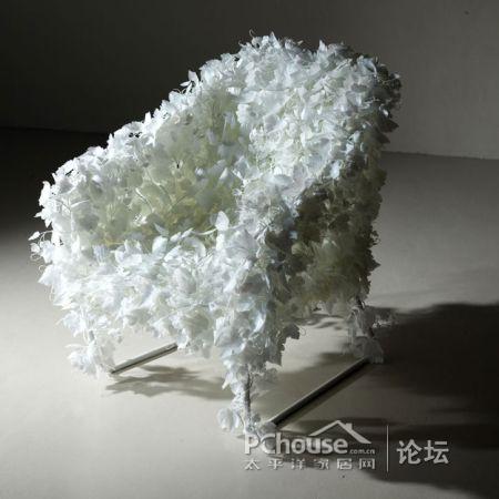 ���׵Ę��~�Σ��Є��⵫�ܹª�