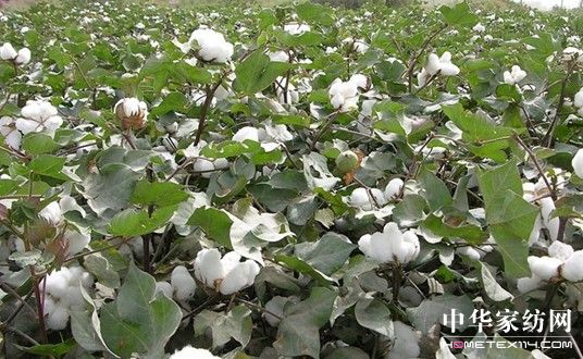 ����Ҽ�ռ���YԴ����