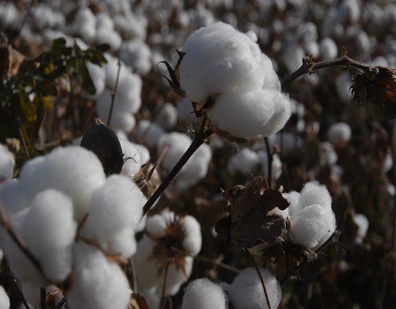 ���K�������ޡ����a�C�c���