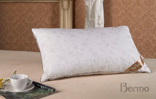 ���z���P�۸��H�ġ�о������