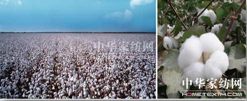 ���N�������N��һ�w�� ������Ҽ��wϵ