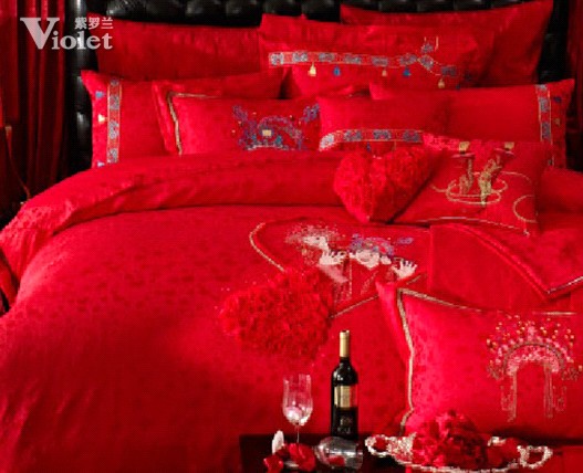 ���_�m�Ҽ������D(zhu��n)����������