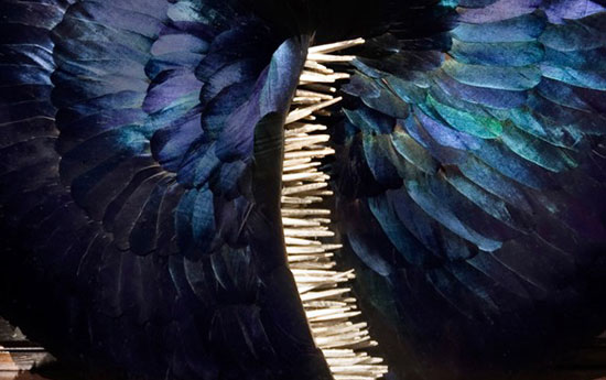 �������}����ϵ����ë����