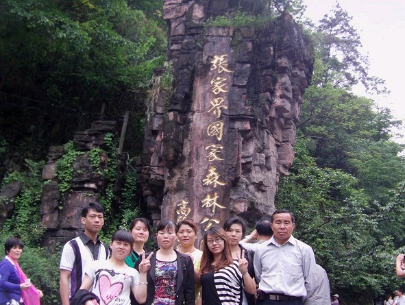 ���m�M������T���������M�F�������