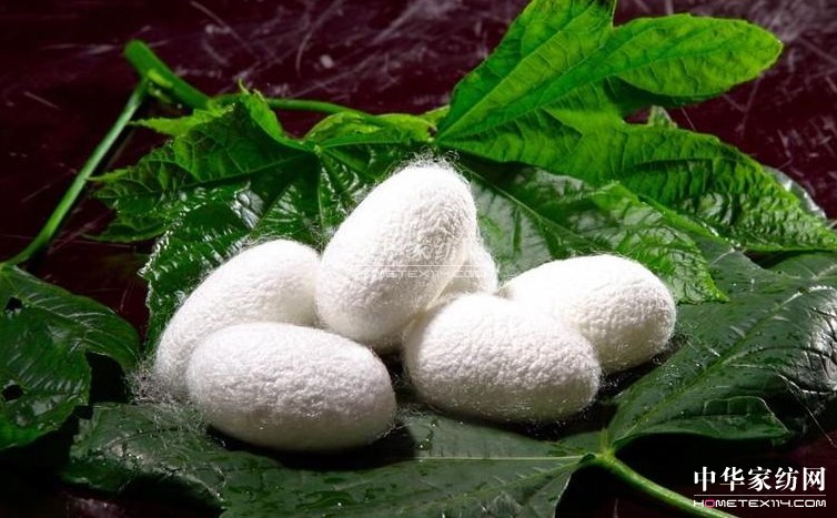 ���Z�ţ�ʹ���Q�z���ĺ�̎