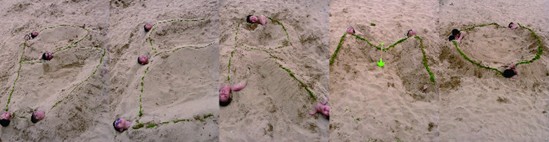 記寶縵家紡招商團隊青島游