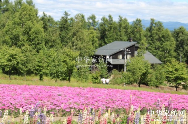 ����Ҽ���푡����ڲ��󣬑��ϱ����������������