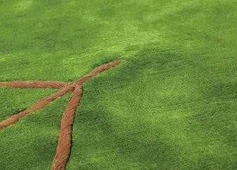 植物性地毯讓自然住你家