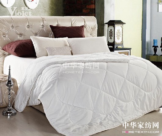 綻放在冬日夢中的紫羅蘭