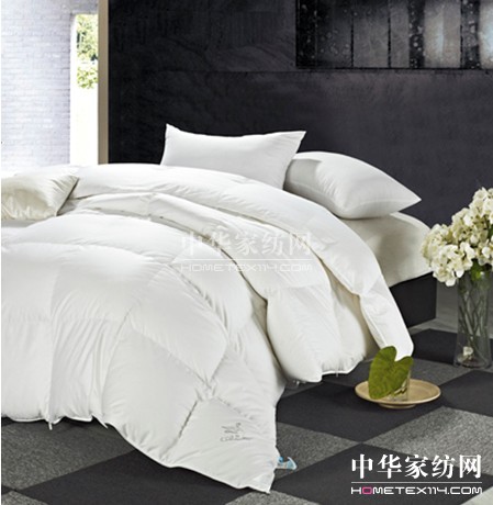 冬日暖陽盡在藍絲羽家紡