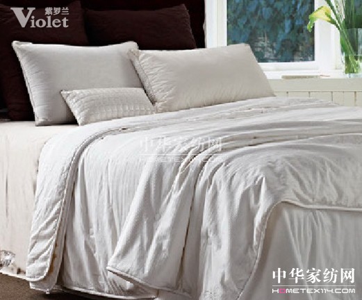 紫羅蘭 與您相約冬季