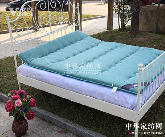 擁抱紫羅蘭 感受愛的溫度