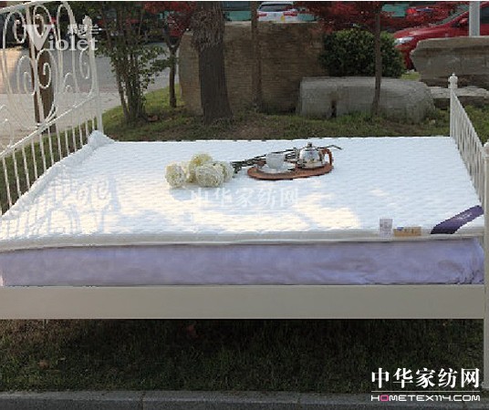 擁抱紫羅蘭感受愛(ài)的溫度