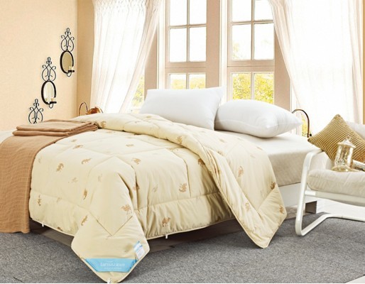 冬雨淅瀝 藍(lán)絲羽給你溫暖陽光