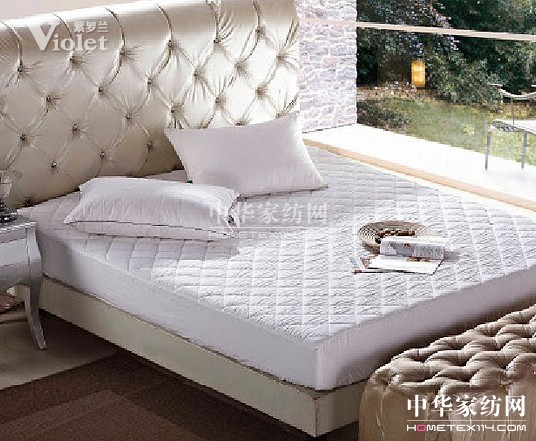 溫暖冬日 紫羅蘭用愛呈現(xiàn)