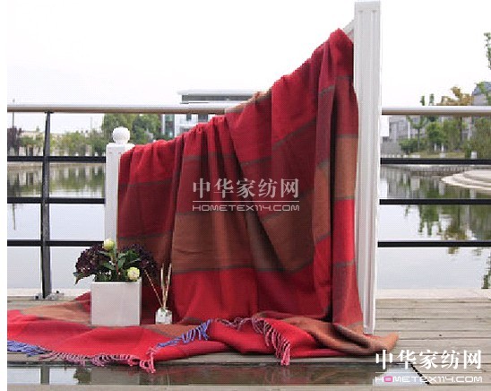 紫羅蘭送來冬日里的一縷暖陽