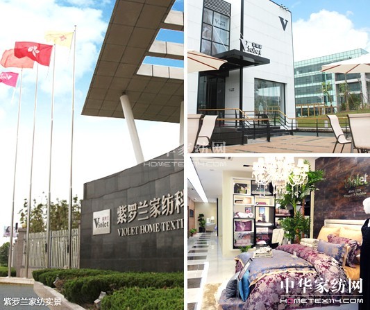 紫羅蘭 提醒創(chuàng)業(yè)者需慎重而行