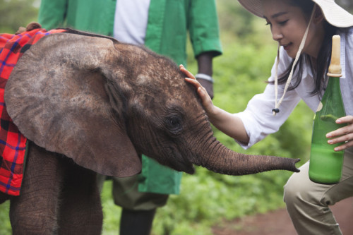 ���������"׃��"�����h�����J�B����