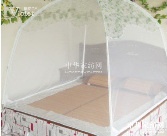 六月靜好光陰紫羅蘭與你一起走過